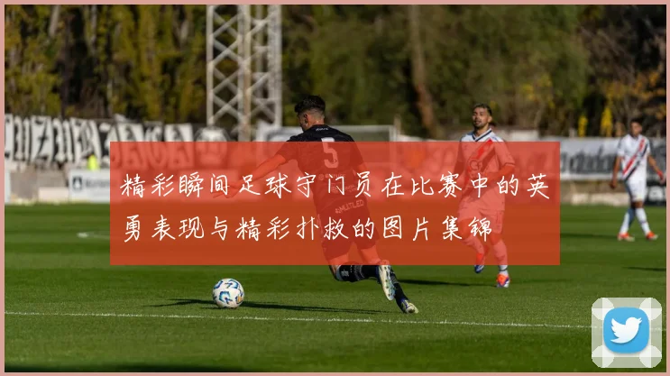 精彩瞬间足球守门员在比赛中的英勇表现与精彩扑救的图片集锦