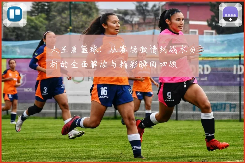 大王看篮球：从赛场激情到战术分析的全面解读与精彩瞬间回顾