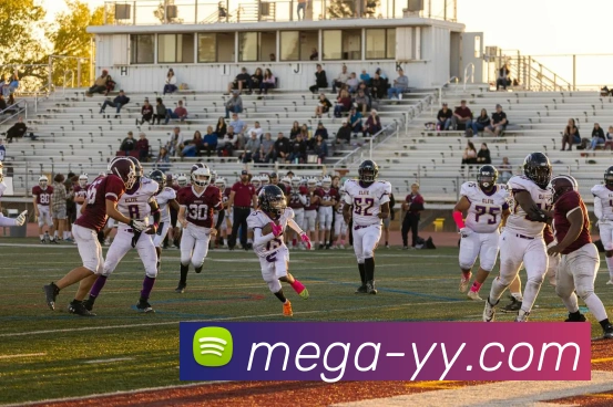 多媒体互动体验